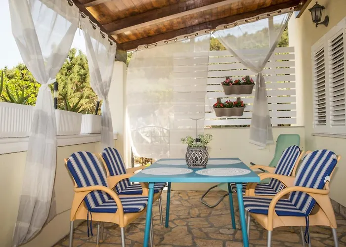 Petranic * 티스노