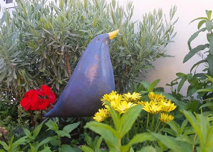 아파트 Petranic *