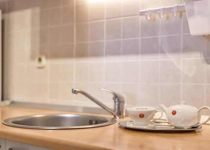 Petranic * 티스노